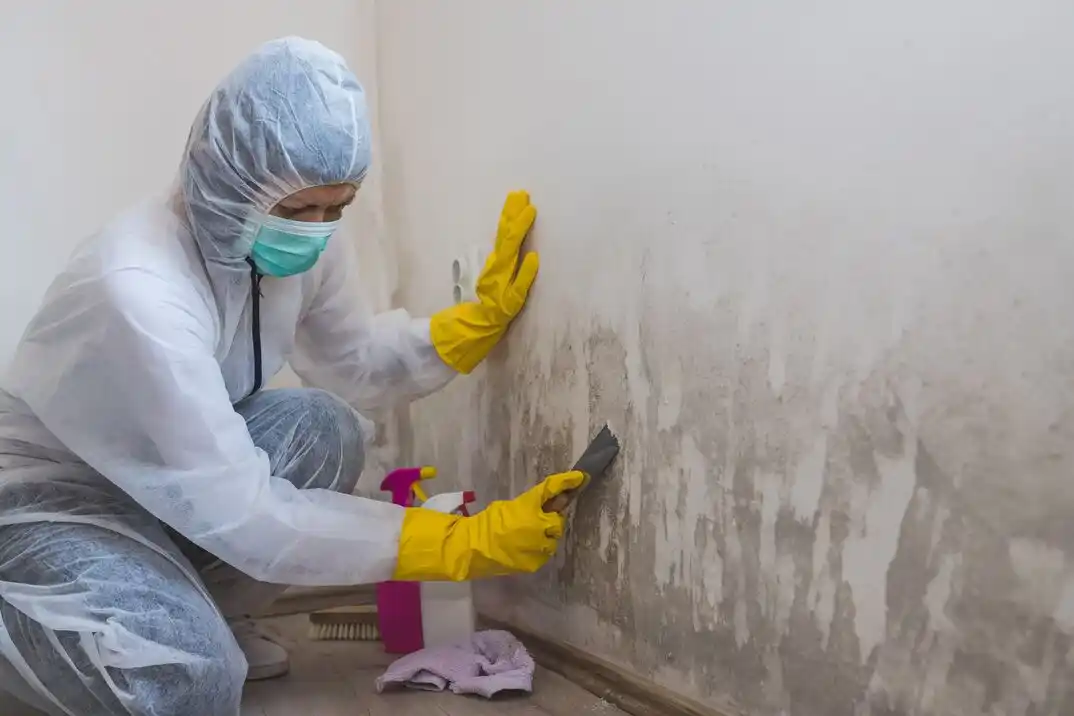 water damage restoration service Fox Park